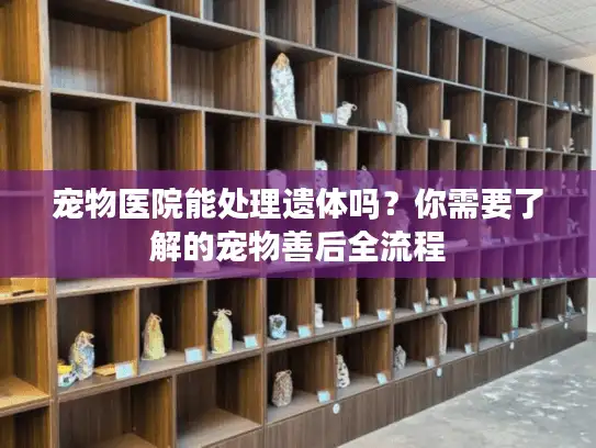 宠物医院能处理遗体吗？你需要了解的宠物善后全流程