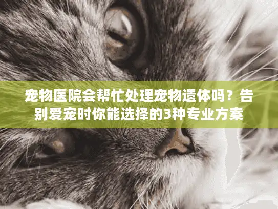 宠物医院会帮忙处理宠物遗体吗？告别爱宠时你能选择的3种专业方案