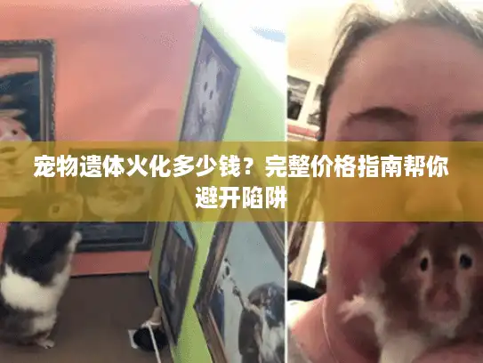 宠物遗体火化多少钱？完整价格指南帮你避开陷阱