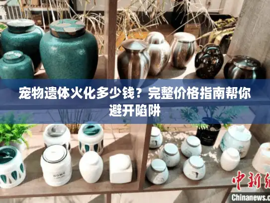 宠物遗体火化多少钱？完整价格指南帮你避开陷阱
