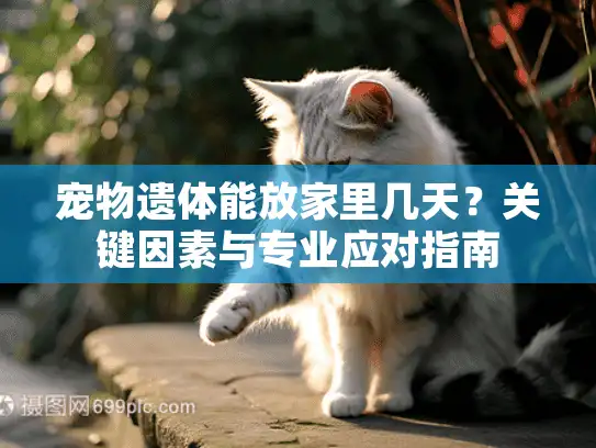 宠物遗体能放家里几天？关键因素与专业应对指南