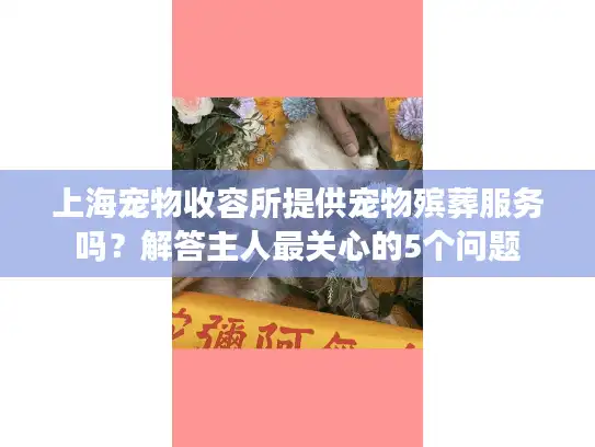 上海宠物收容所提供宠物殡葬服务吗？解答主人最关心的5个问题