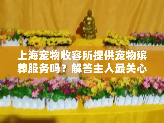 上海宠物收容所提供宠物殡葬服务吗？解答主人最关心的5个问题