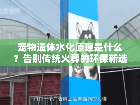 宠物遗体水化原理是什么？告别传统火葬的环保新选择