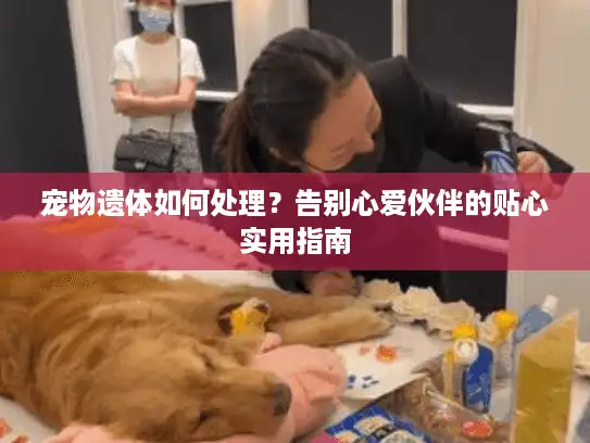 宠物遗体如何处理？告别心爱伙伴的贴心实用指南