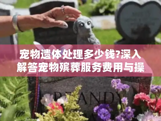 宠物遗体处理多少钱?深入解答宠物殡葬服务费用与操作指南