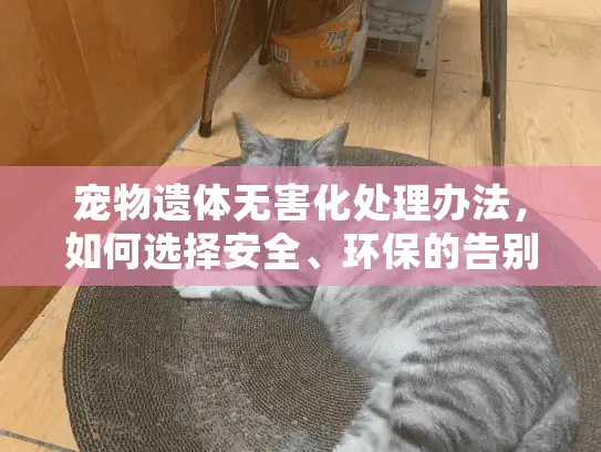 宠物遗体无害化处理办法，如何选择安全、环保的告别方式？