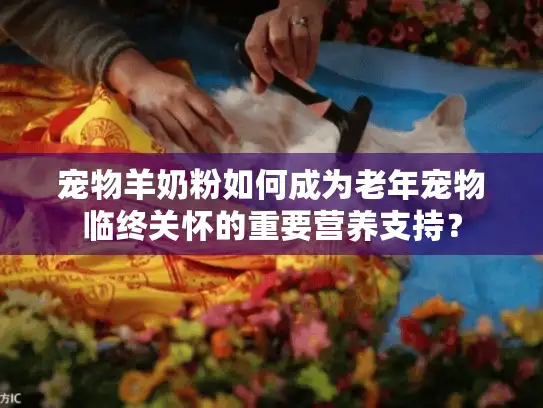 宠物羊奶粉如何成为老年宠物临终关怀的重要营养支持？