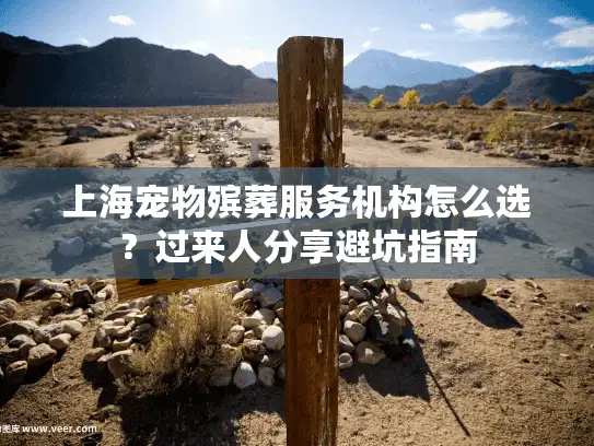 上海宠物殡葬服务机构怎么选？过来人分享避坑指南