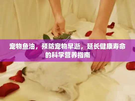 宠物鱼油，预防宠物早逝，延长健康寿命的科学营养指南