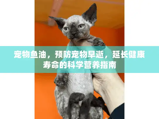宠物鱼油，预防宠物早逝，延长健康寿命的科学营养指南
