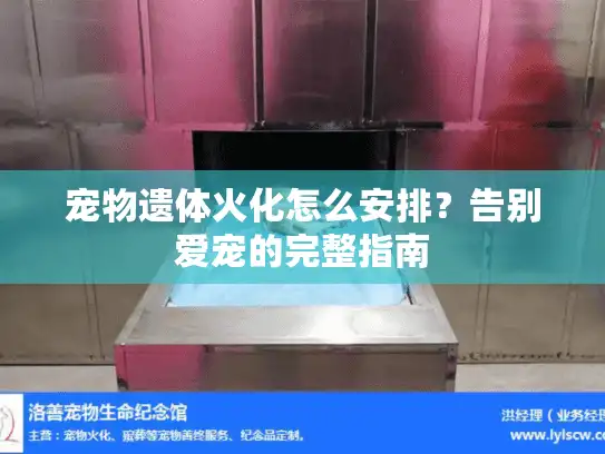 宠物遗体火化怎么安排？告别爱宠的完整指南