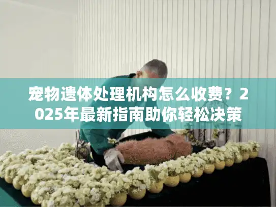 宠物遗体处理机构怎么收费？2025年最新指南助你轻松决策