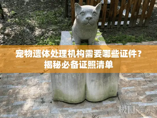 宠物遗体处理机构需要哪些证件？揭秘必备证照清单
