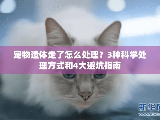 宠物遗体走了怎么处理？3种科学处理方式和4大避坑指南