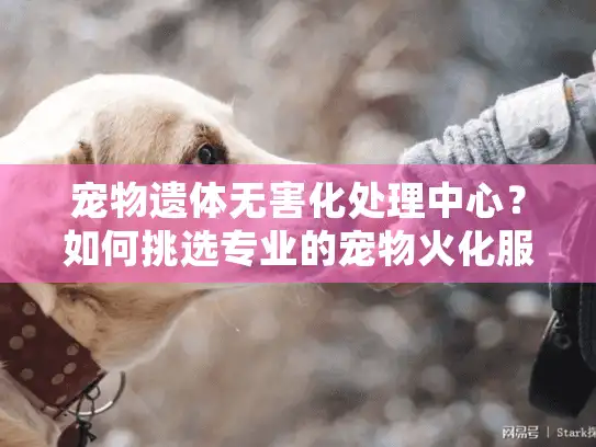 宠物遗体无害化处理中心？如何挑选专业的宠物火化服务
