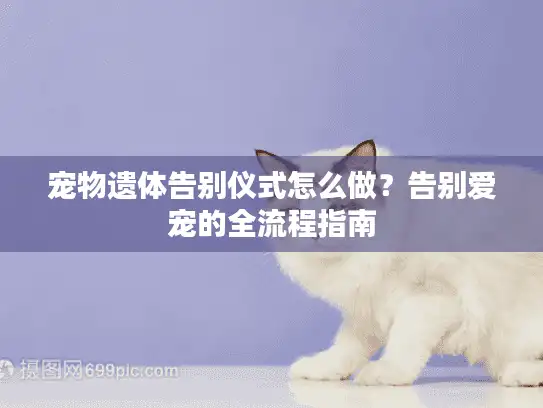 宠物遗体告别仪式怎么做？告别爱宠的全流程指南