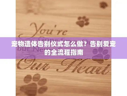 宠物遗体告别仪式怎么做？告别爱宠的全流程指南