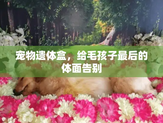 宠物遗体盒，给毛孩子最后的体面告别