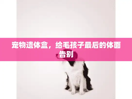 宠物遗体盒，给毛孩子最后的体面告别
