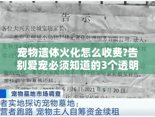 宠物遗体火化怎么收费?告别爱宠必须知道的3个透明价格方案
