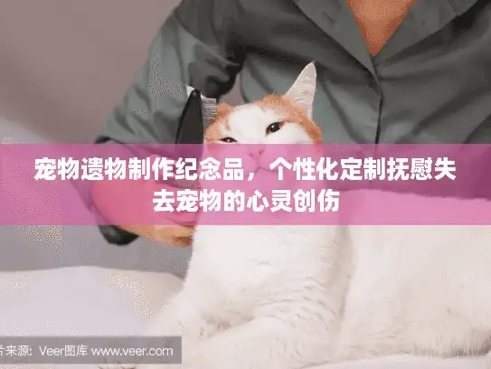 宠物遗物制作纪念品，个性化定制抚慰失去宠物的心灵创伤