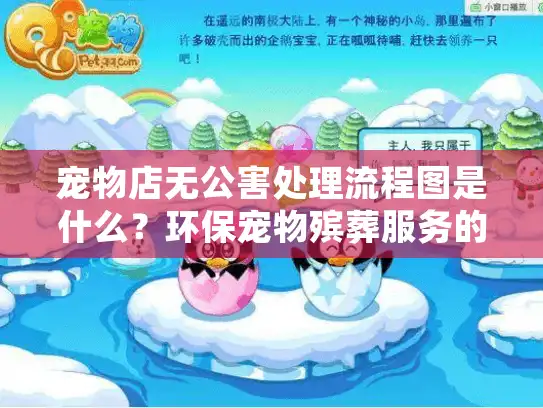 宠物店无公害处理流程图是什么？环保宠物殡葬服务的关键指南？