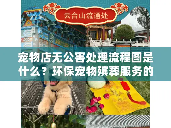 宠物店无公害处理流程图是什么？环保宠物殡葬服务的关键指南？