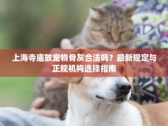 上海寺庙放宠物骨灰合法吗？最新规定与正规机构选择指南