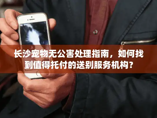 长沙宠物无公害处理指南，如何找到值得托付的送别服务机构？