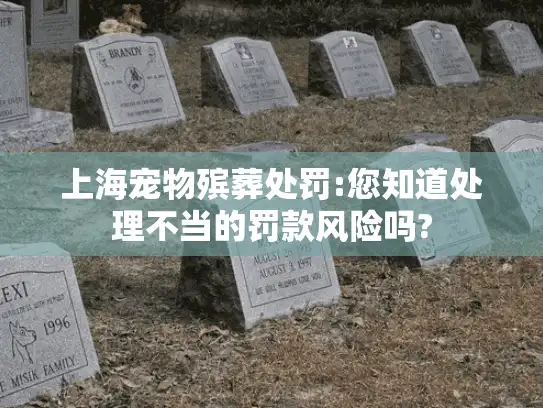 上海宠物殡葬处罚:您知道处理不当的罚款风险吗?