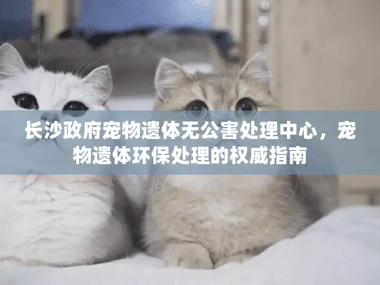 长沙政府宠物遗体无公害处理中心，宠物遗体环保处理的权威指南