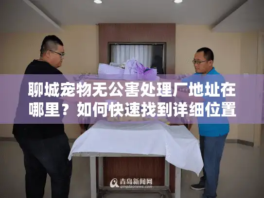 聊城宠物无公害处理厂地址在哪里？如何快速找到详细位置信息