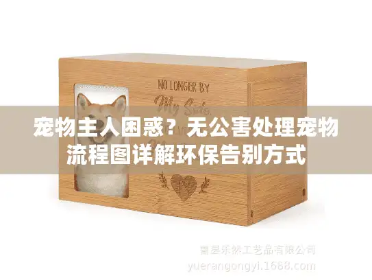 宠物主人困惑？无公害处理宠物流程图详解环保告别方式