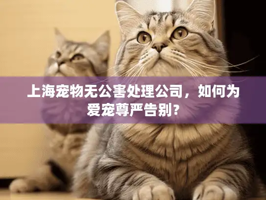 上海宠物无公害处理公司，如何为爱宠尊严告别？