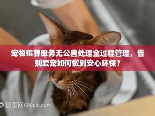 宠物殡葬服务无公害处理全过程管理，告别爱宠如何做到安心环保？