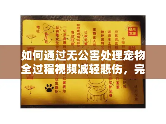 如何通过无公害处理宠物全过程视频减轻悲伤，完整环保指南