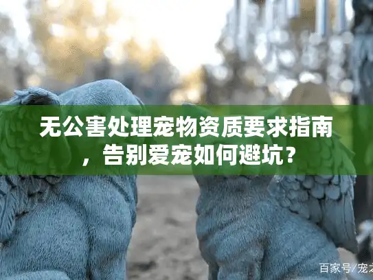 无公害处理宠物资质要求指南，告别爱宠如何避坑？