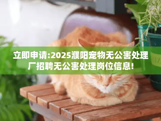 立即申请:2025濮阳宠物无公害处理厂招聘无公害处理岗位信息!