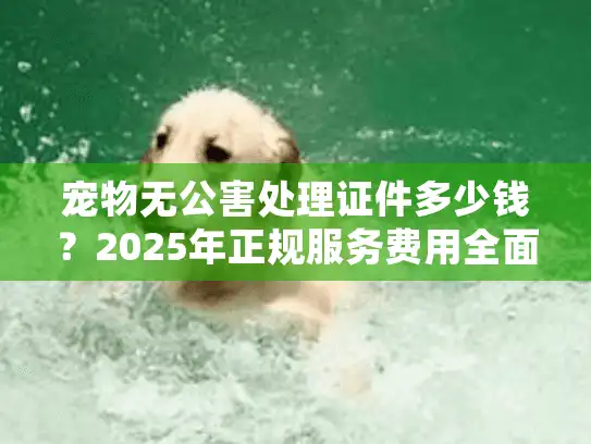宠物无公害处理证件多少钱？2025年正规服务费用全面解析