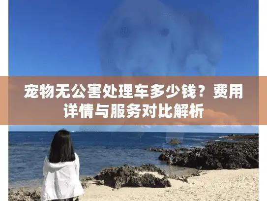 宠物无公害处理车多少钱？费用详情与服务对比解析