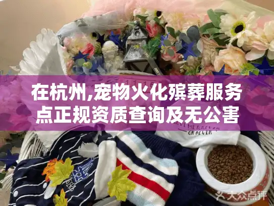 在杭州,宠物火化殡葬服务点正规资质查询及无公害处理站地址清单