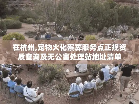 在杭州,宠物火化殡葬服务点正规资质查询及无公害处理站地址清单