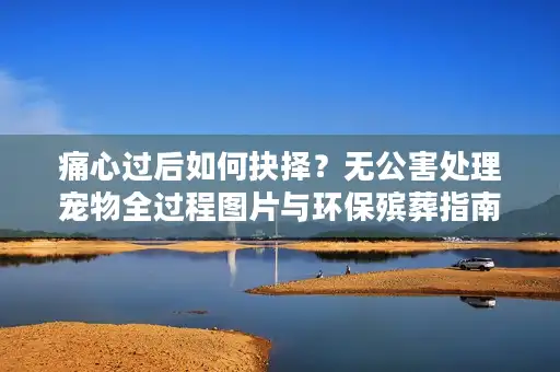 痛心过后如何抉择？无公害处理宠物全过程图片与环保殡葬指南
