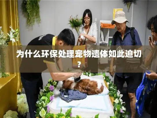 为什么环保处理宠物遗体如此迫切？