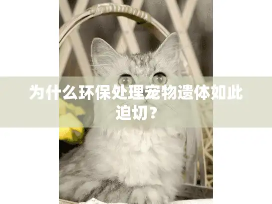 为什么环保处理宠物遗体如此迫切？