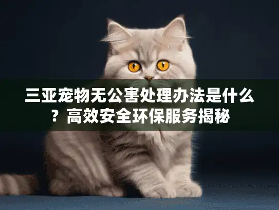 三亚宠物无公害处理办法是什么？高效安全环保服务揭秘