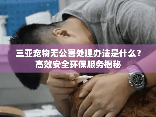 三亚宠物无公害处理办法是什么？高效安全环保服务揭秘