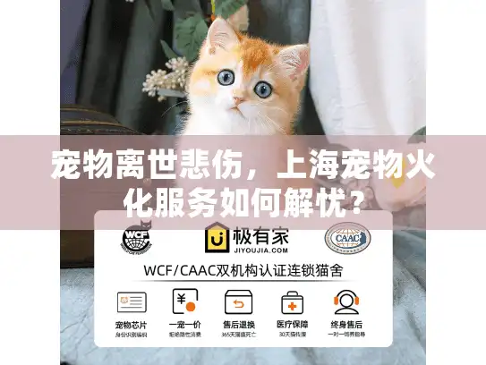 宠物离世悲伤，上海宠物火化服务如何解忧？