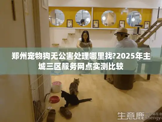 郑州宠物狗无公害处理哪里找?2025年主城三区服务网点实测比较